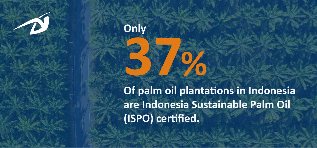 Market Insights of Indonesian Palm Oil